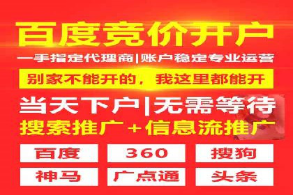 成功案例：专业SEM托管助力电商销售额翻倍